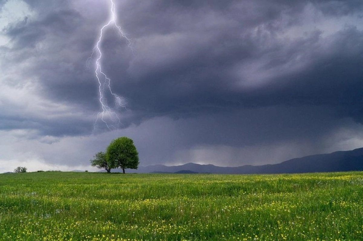 Qərb bölgəsində güclü külək əsir, bəzi ərazilərdə elektrik enerjisinin verilməsi dayandırılıb